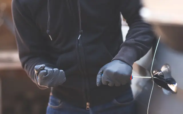 Potential home invader mauled to death by family’s dogs